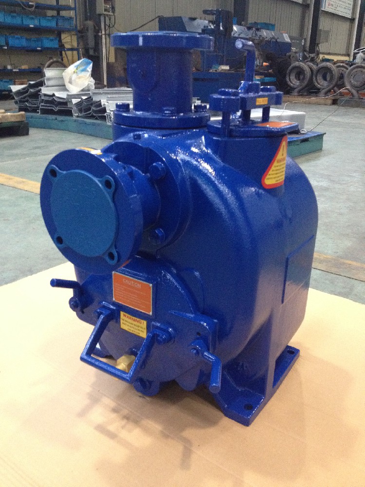 Pinnacle-Flo Pump Assembly