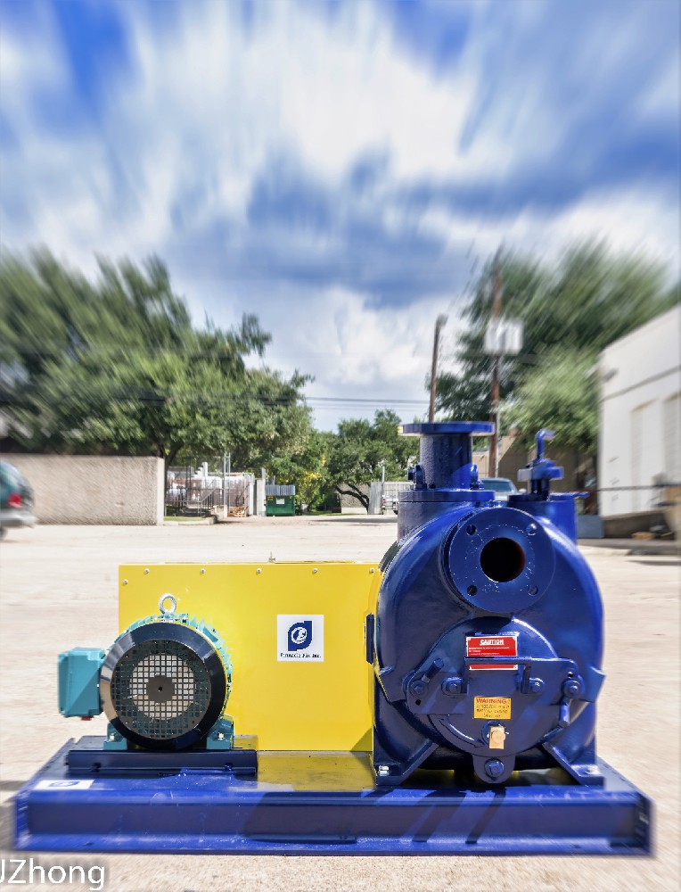 Pinnacle-Flo T3 pump with belt drive